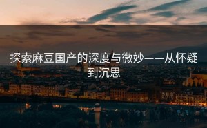 探索麻豆国产的深度与微妙——从怀疑到沉思