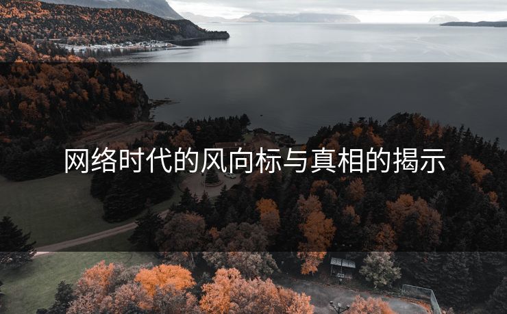 网络时代的风向标与真相的揭示 网络时代的风向标与真相的揭示