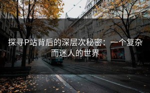 探寻P站背后的深层次秘密：一个复杂而迷人的世界