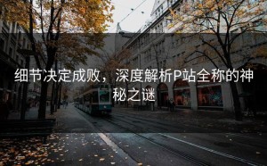 细节决定成败，深度解析P站全称的神秘之谜