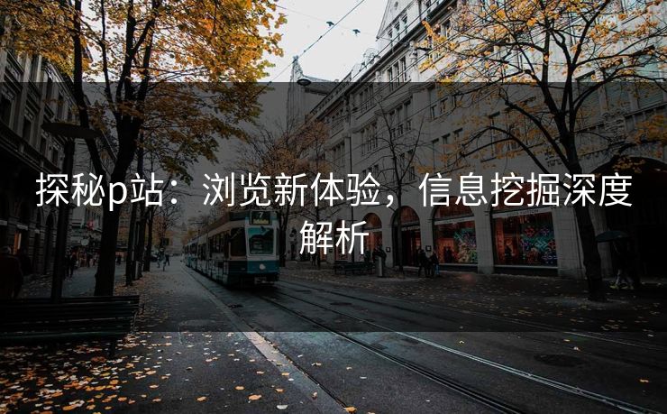 探秘p站：浏览新体验，信息挖掘深度解析