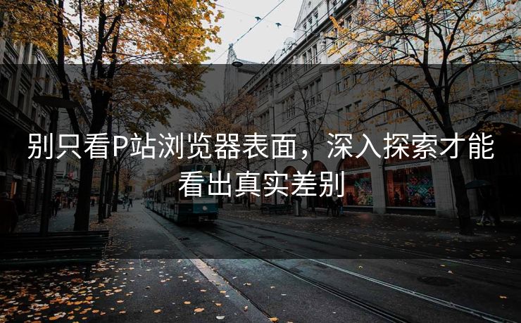 别只看P站浏览器表面，深入探索才能看出真实差别