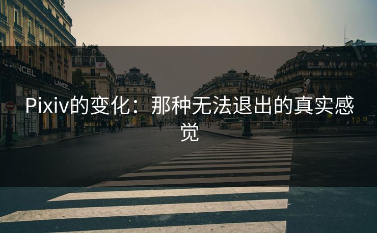 Pixiv的变化:那种无法退出的真实感觉 Pixiv的变化:那种无法退出的真实感觉