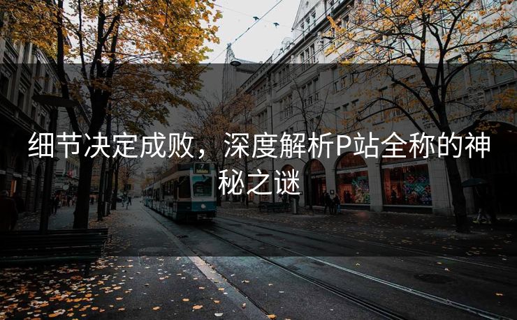 细节决定成败,深度解析P站全称的神秘之谜 细节决定成败,深度解析P站全称的神秘之谜