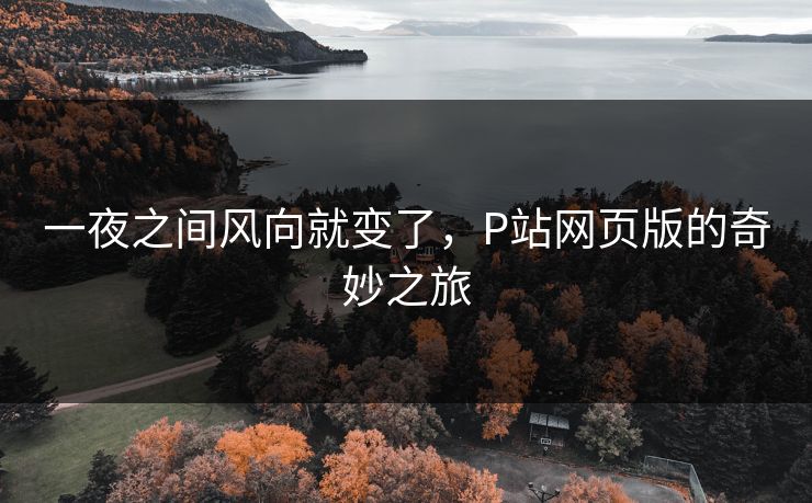 一夜之间风向就变了,P站网页版的奇妙之旅 一夜之间风向就变了,P站网页版的奇妙之旅