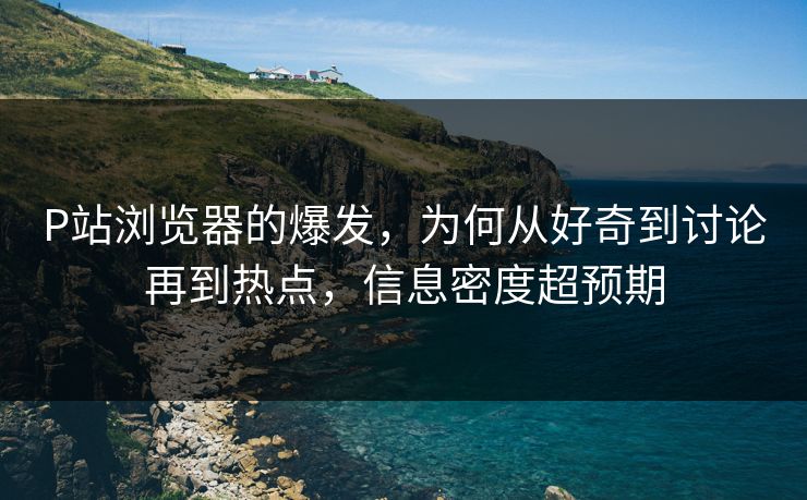 P站浏览器的爆发,为何从好奇到讨论再到热点,信息密度超预期 P站浏览器的爆发,为何从好奇到讨论再到热点,信息密度超预期